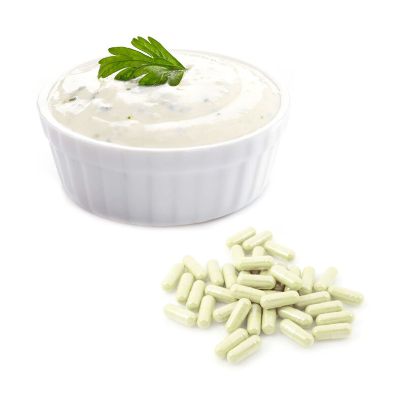 Krémsajt baktérium kultúra (10 db-os kiszerelés)