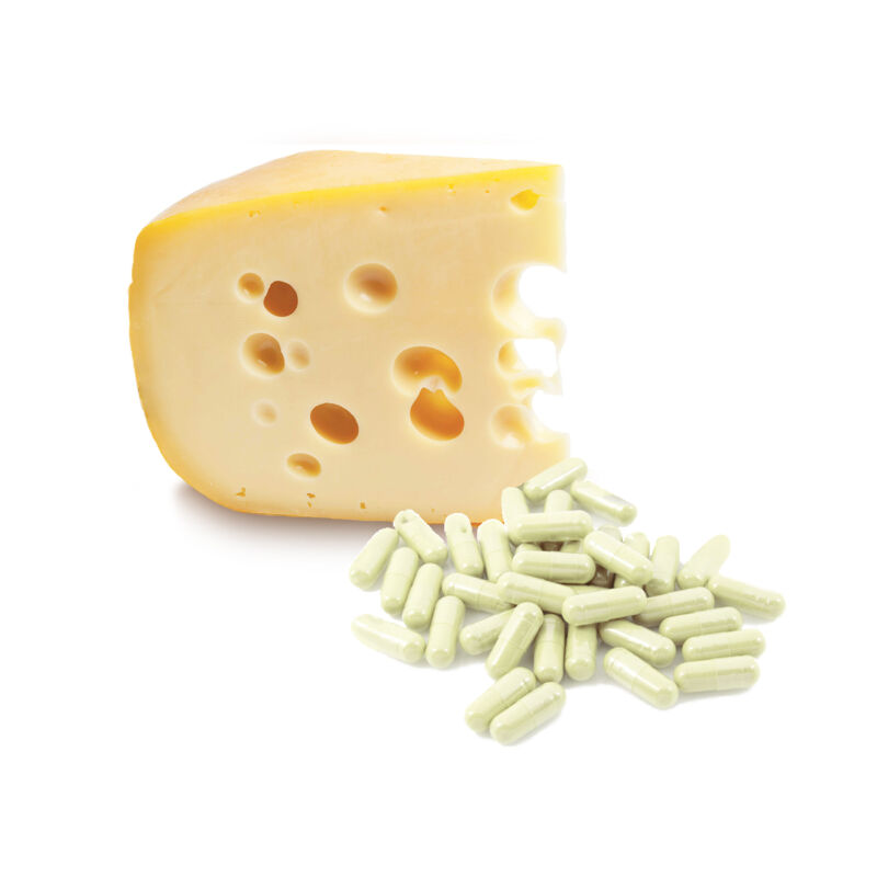 Ementáli sajt baktérium kultúra (10 db-os kiszerelés)