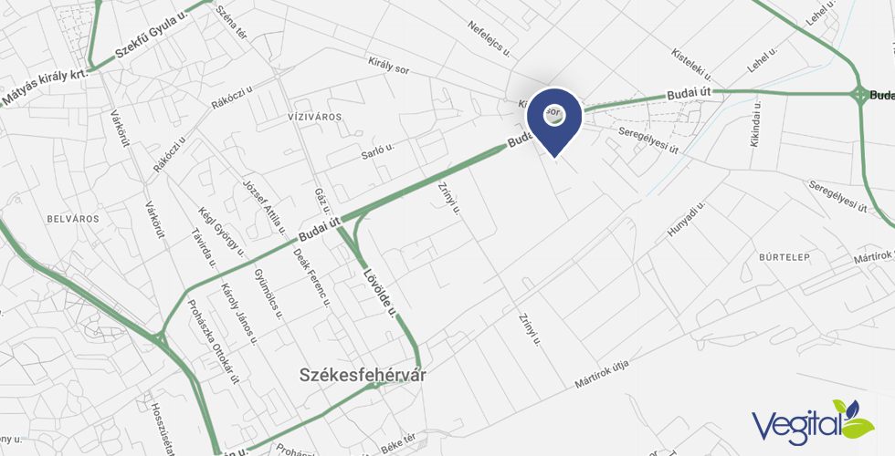 Vegital átvevőpont